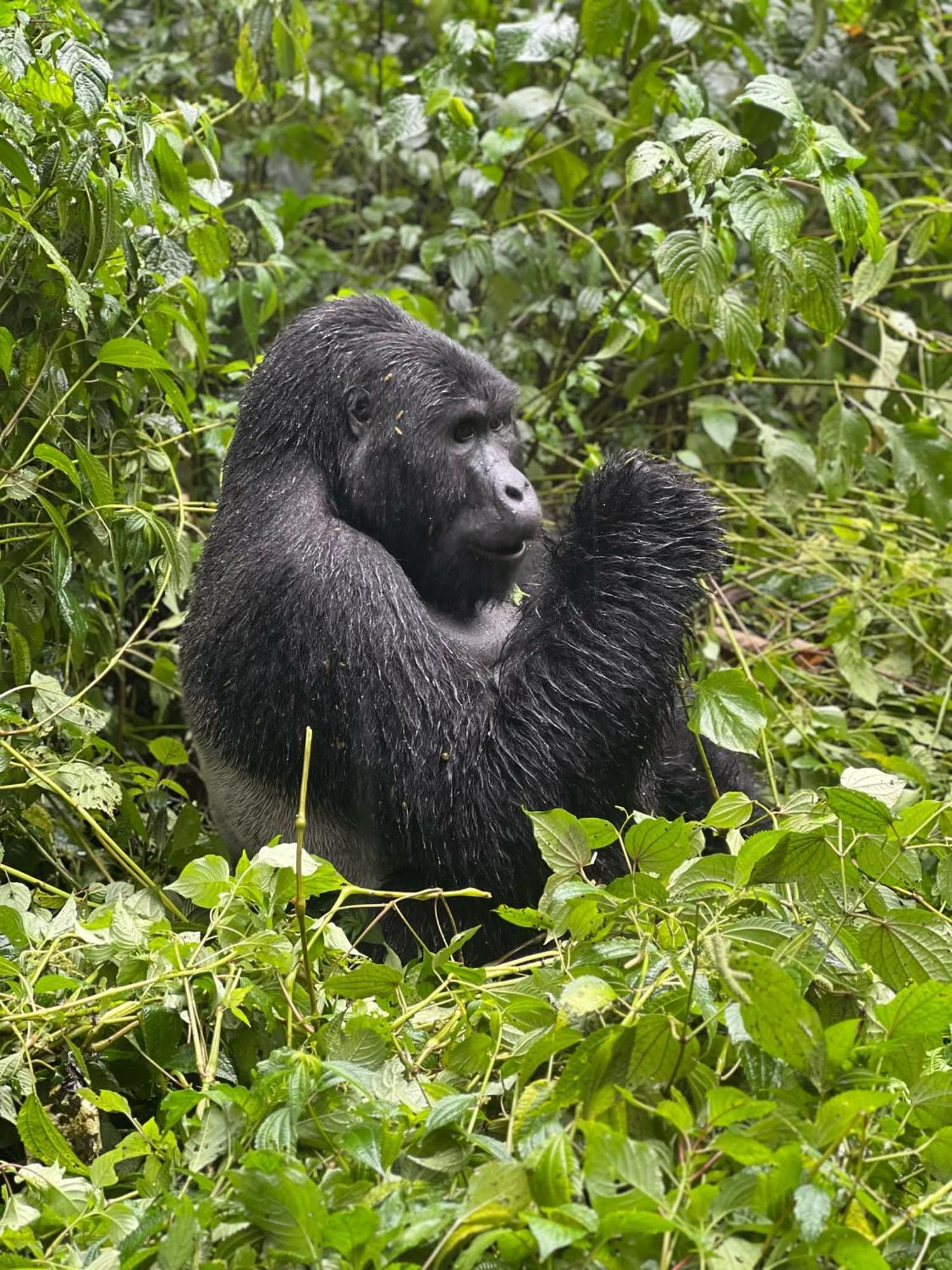 Om Hostel Bunyonyi Kabale ภายนอก รูปภาพ